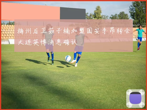 梅州后卫茹子楠加盟国安李昂转会大连英博消息确认