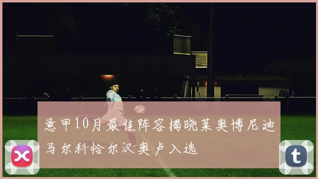 意甲10月最佳阵容揭晓莱奥博尼迪马尔科恰尔汉奥卢入选