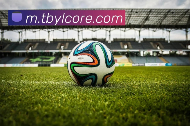 通博娱乐服务体系